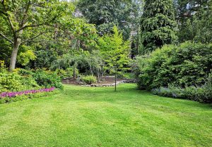 Optimiser l'expérience du jardin à La Genevroye